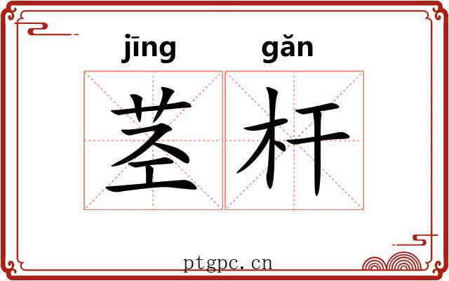 茎杆