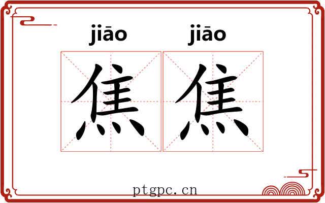 焦焦