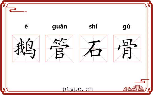 鹅管石骨
