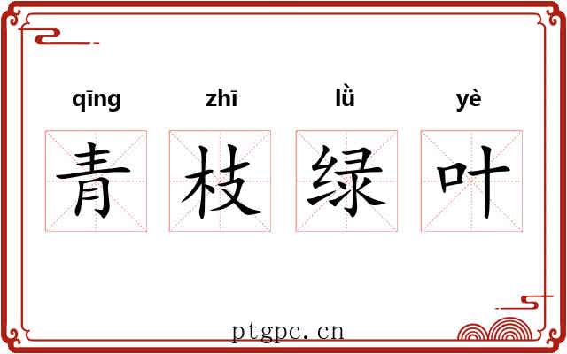 青枝绿叶 青枝绿叶