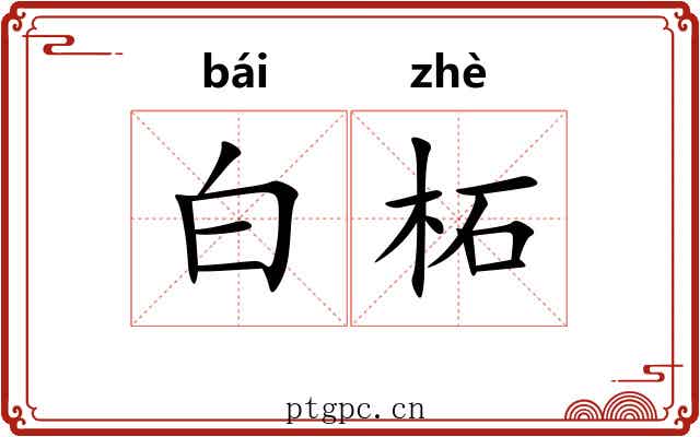 白柘 白柘
