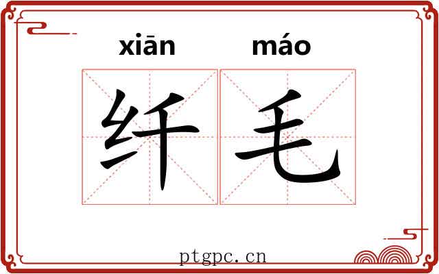 纤毛 纤毛