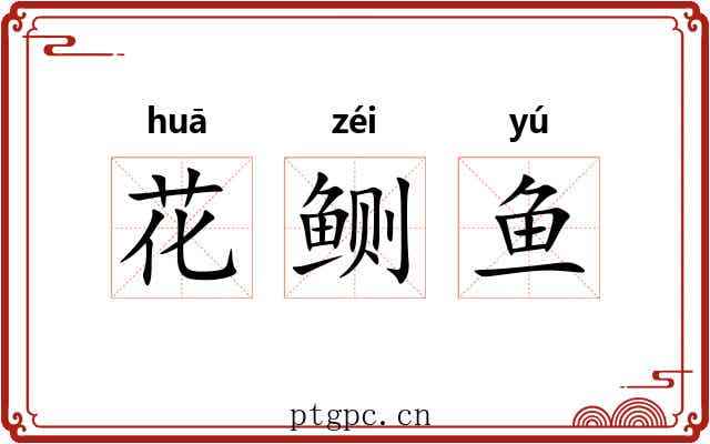 花鲗鱼