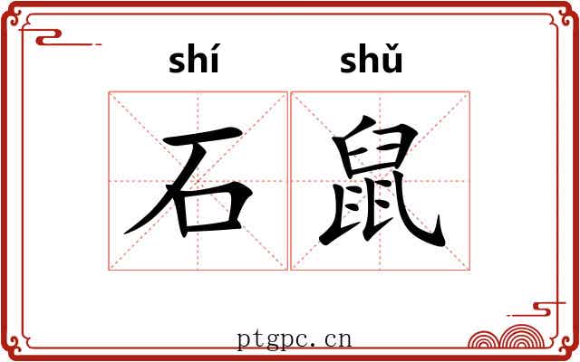 石鼠