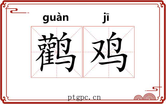 鹳鸡
