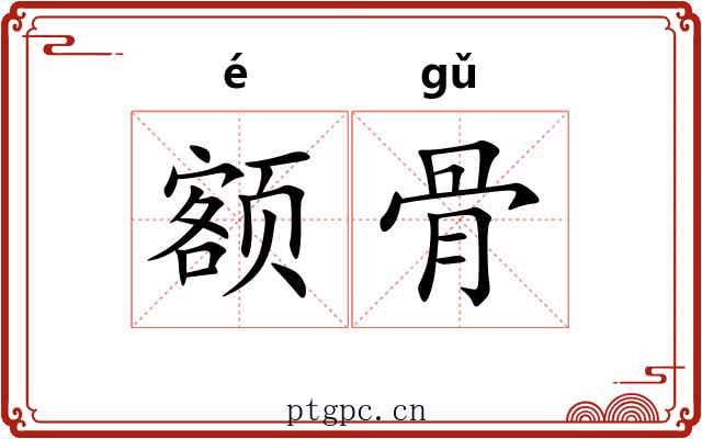 额骨 额骨