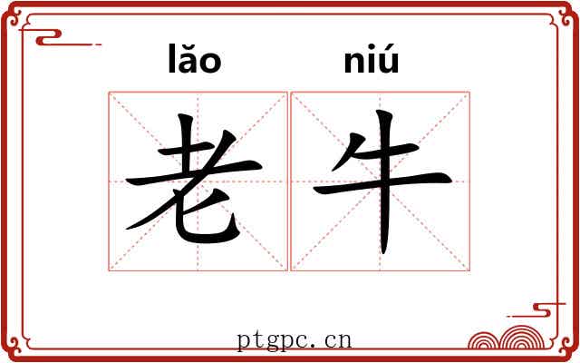 老牛 老牛