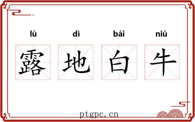 露地白牛 露地白牛