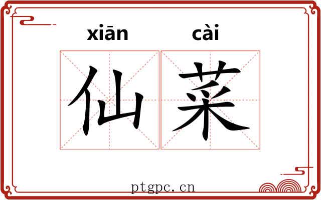仙菜