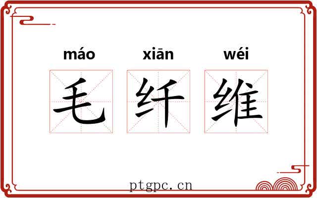 毛纤维