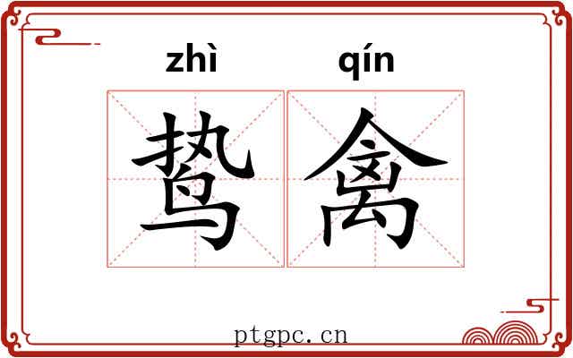 鸷禽