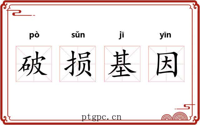 破损基因 破损基因