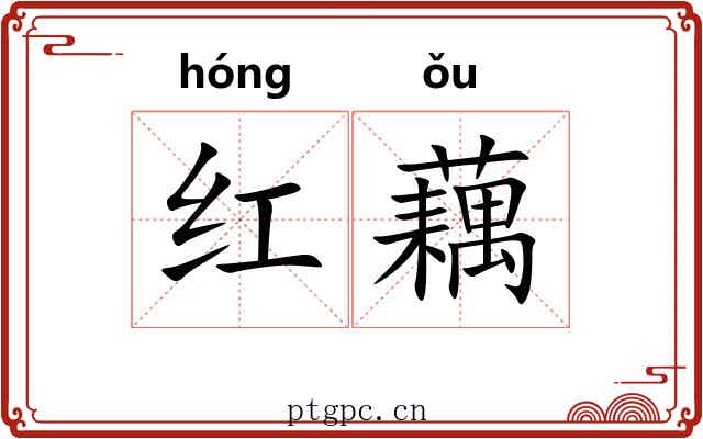 红藕 红藕