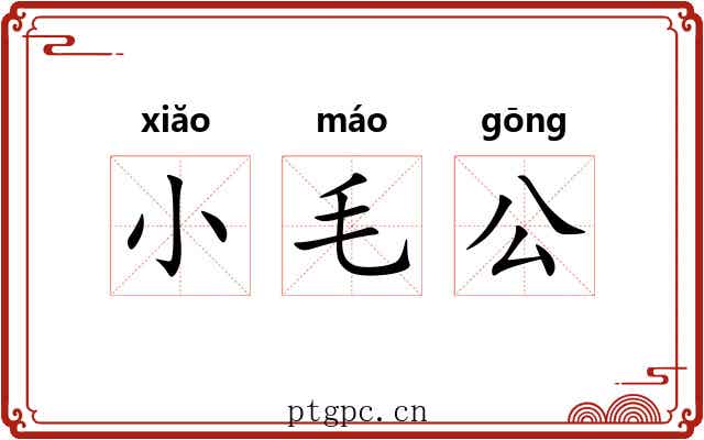 小毛公