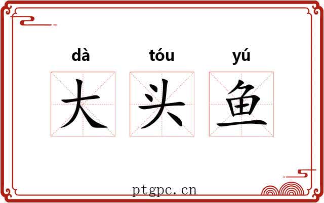 大头鱼 大头鱼