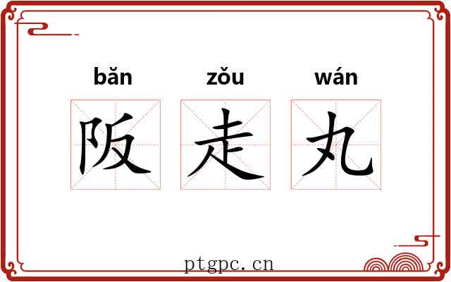 阪走丸
