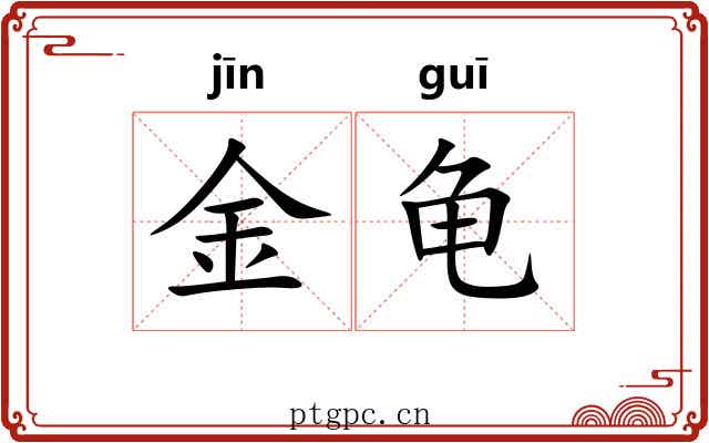 金龟 金龟