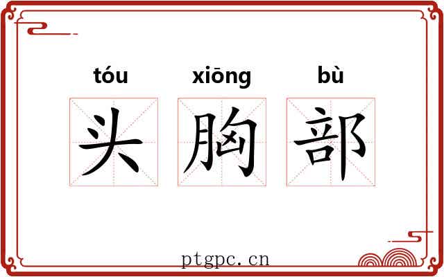 头胸部 头胸部