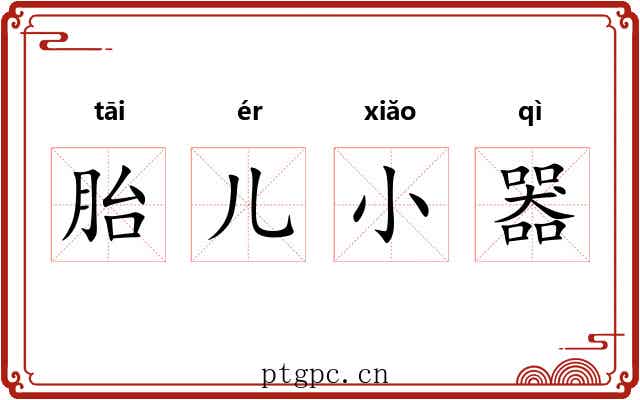 胎儿小器 胎儿小器
