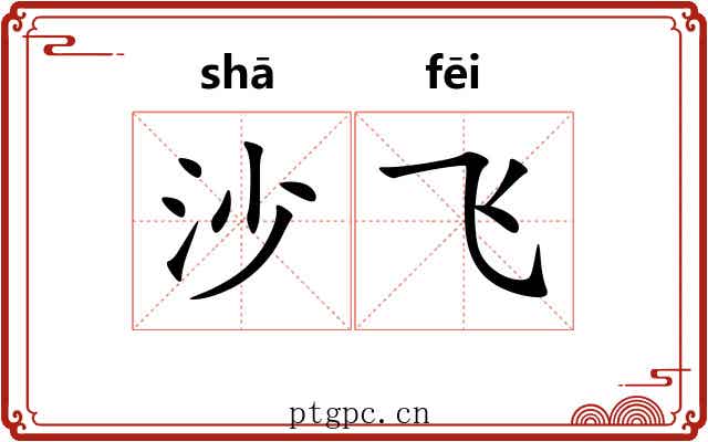 沙飞 沙飞