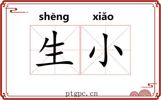 生小