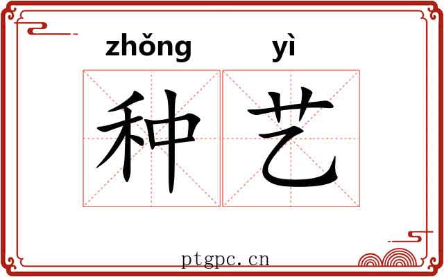 种艺 种艺