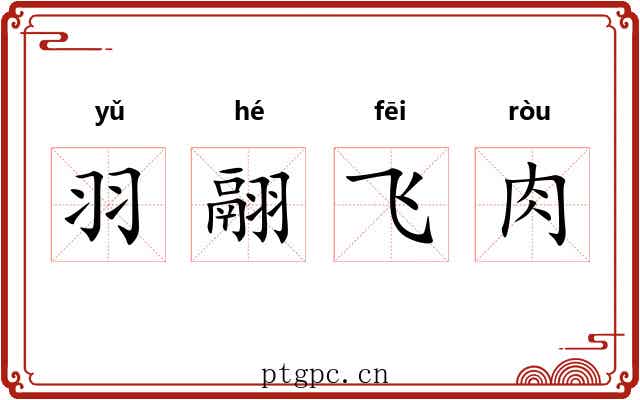 羽翮飞肉