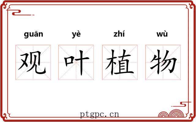 观叶植物