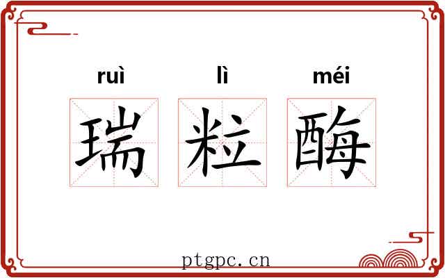 瑞粒酶