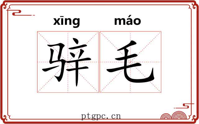 骍毛