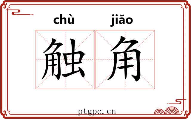 触角