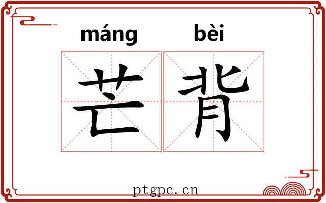 芒背 芒背