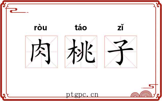肉桃子