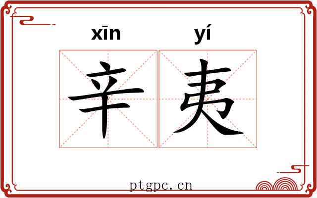 辛夷 辛夷