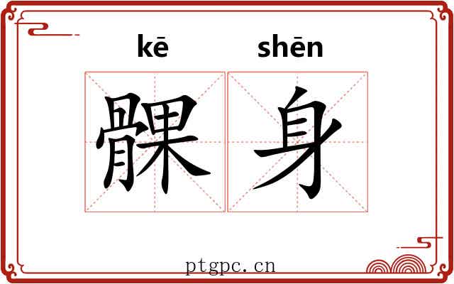 髁身