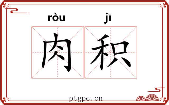 肉积