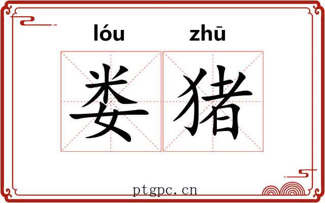 娄猪