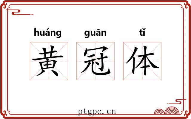 黄冠体 黄冠体