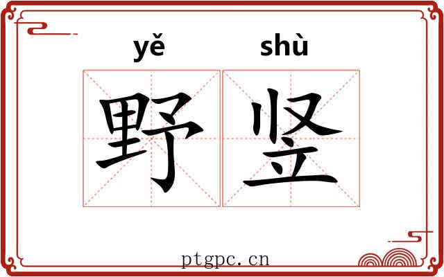 野竖 野竖