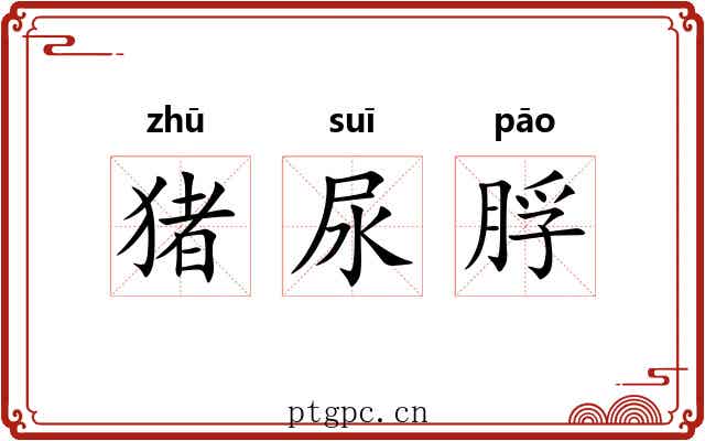 猪尿脬