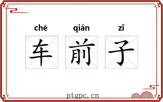车前子 车前子