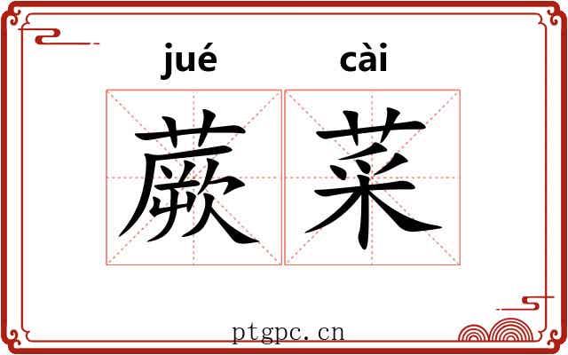 蕨菜