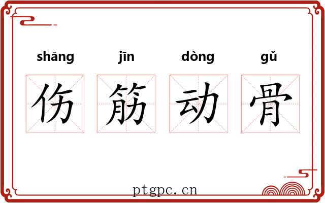 伤筋动骨