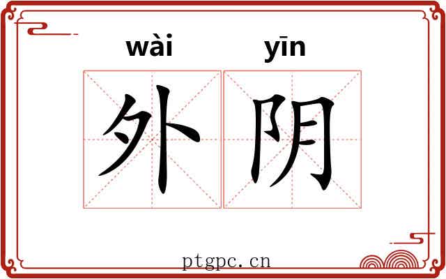外阴 外阴