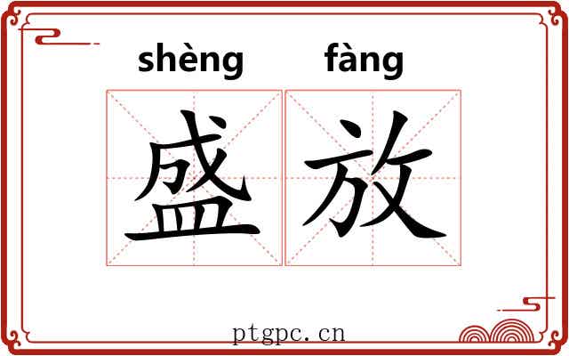盛放 盛放