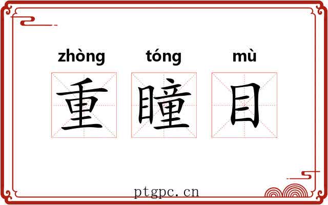 重瞳目 重瞳目