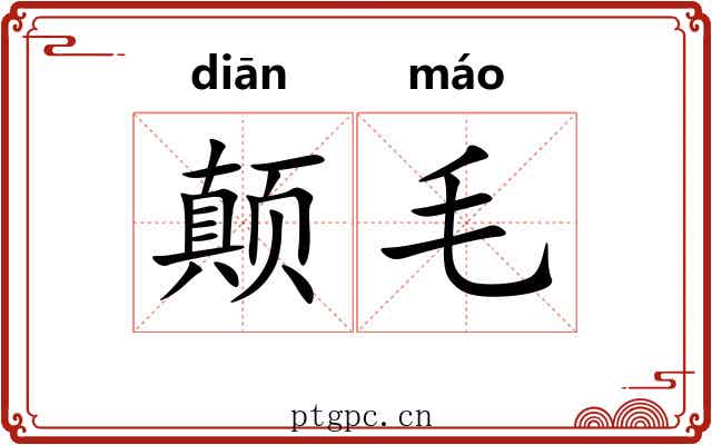 颠毛 颠毛