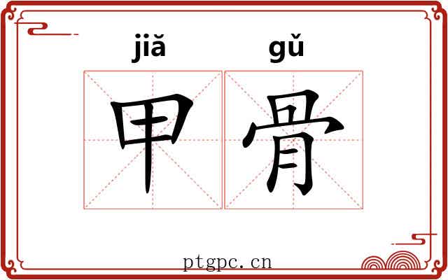 甲骨 甲骨