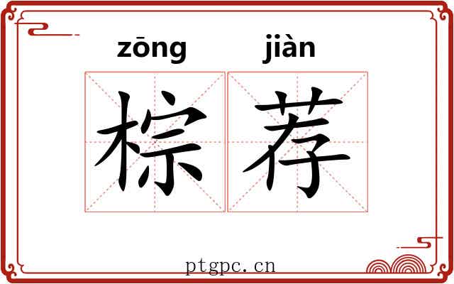 棕荐 棕荐