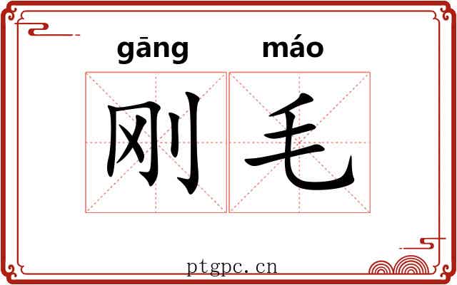 刚毛